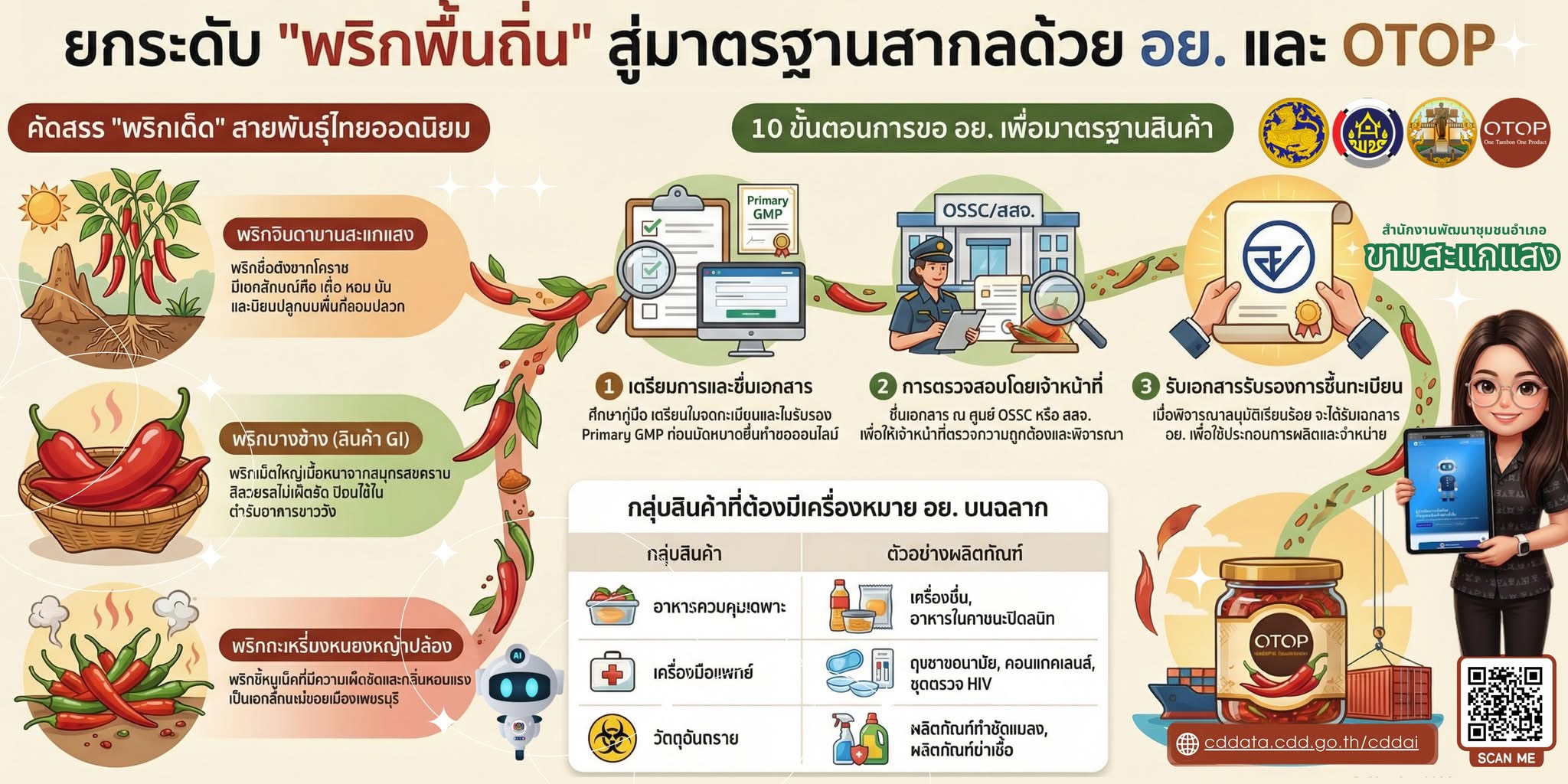 พช.ขามสะแกแสง ยกระดับ "พริกพื้นถิ่น" สู่มาตรฐานสากลด้ว อย.และ TOP              สำนักงานพัฒนาชุมชนอำเภอขามสะแกแสง ขับเคลื่อนงานพัฒนาชุมชนสู่ยุคดิจิทัลด้วย CDD AI 